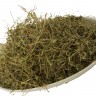 Чабрец (трава, 50 гр.) Старослав